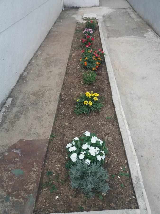 Apartments Radulovic Sutomore Εξωτερικό φωτογραφία