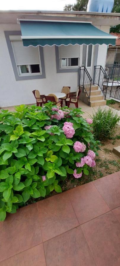 Apartments Radulovic Sutomore Εξωτερικό φωτογραφία